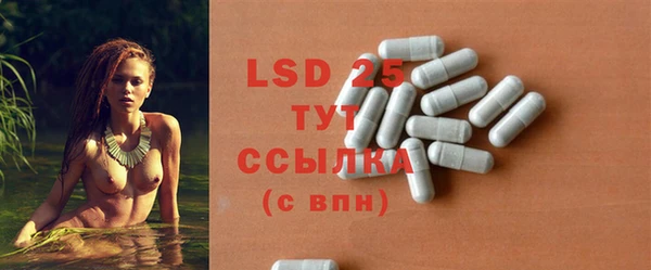 PSILOCYBIN Бронницы
