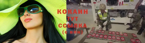 трава Верея