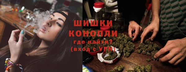 PSILOCYBIN Бронницы