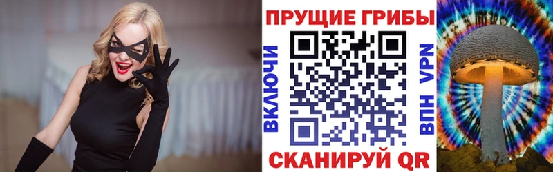 купить наркоту Ефремов Псилоцибиновые грибы Psilocybe